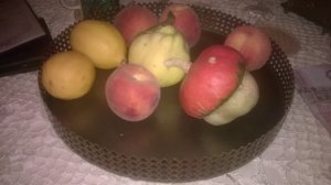 wp_20161004_19_55_52_pro