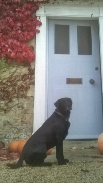 wp_20161031_13_39_47_pro