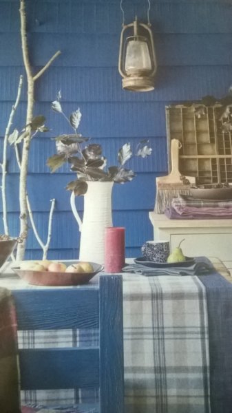 wp_20161031_13_40_47_pro