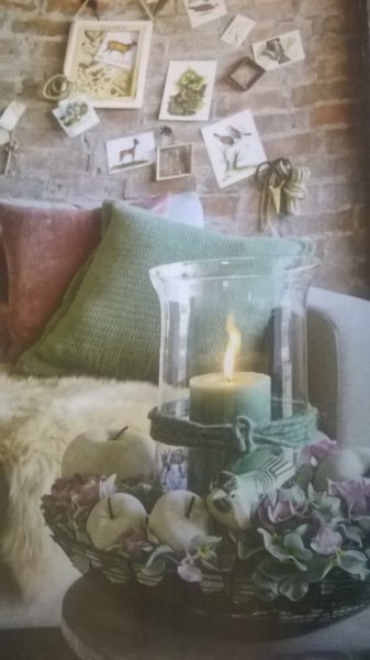 wp_20161031_13_41_17_pro