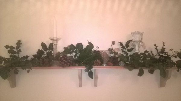 wp_20161127_18_58_22_pro