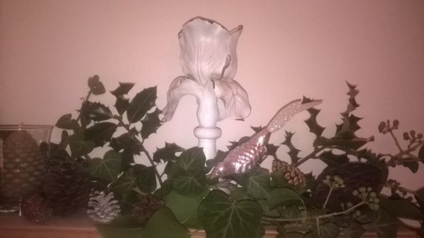 wp_20161127_19_19_43_pro