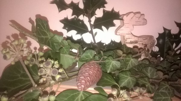 wp_20161127_19_20_09_pro